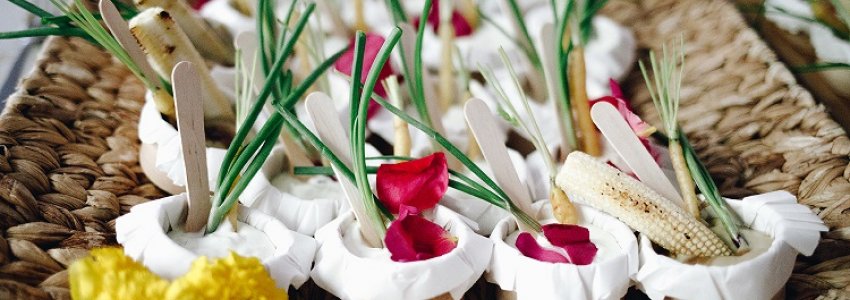 AGA Catering de Gourmet